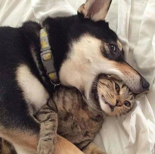 爆料人笑出鹅叫声视频 第2张 爆料人笑出鹅叫声视频 第2张